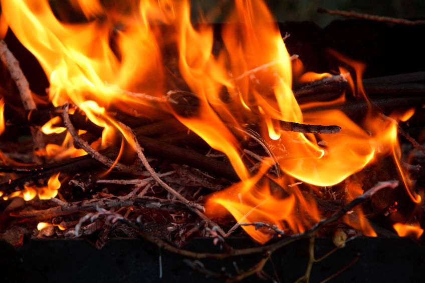 Maintain Your Fire - Bob Sawvelle - flames on logs