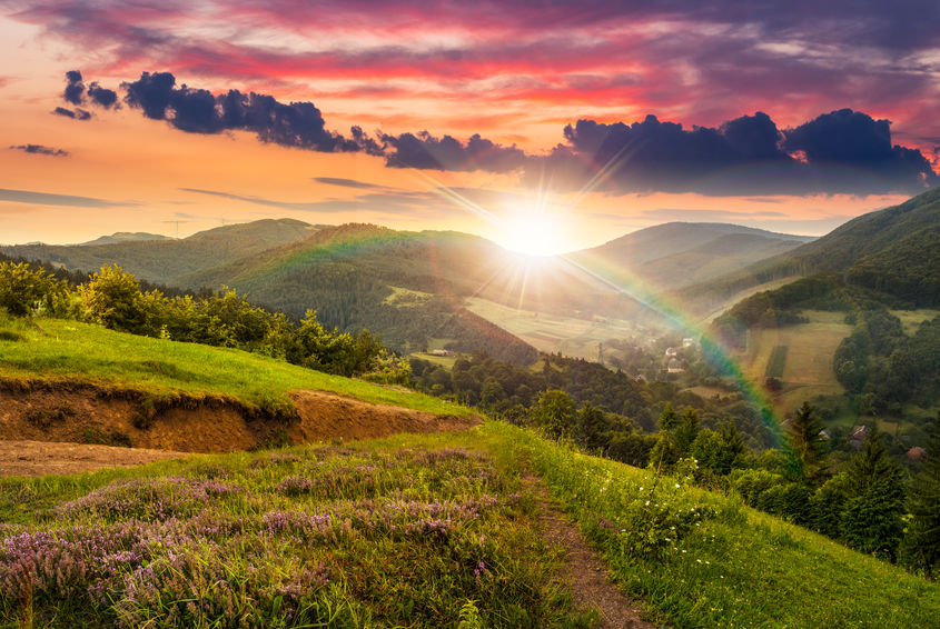 God's Faithfulness - Bob Sawvelle - flowers on hillside meadow near village in foggy mountain forest in sunset light with rainbow
